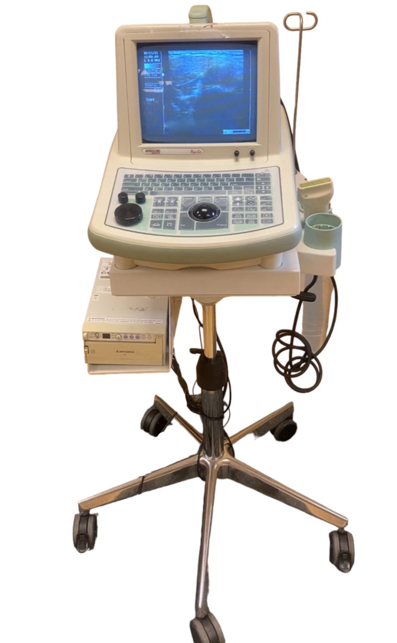 BIOSOUND ESAOTE AQUILA ULTRASOUND MACHINE WITH 1 PROBE L40