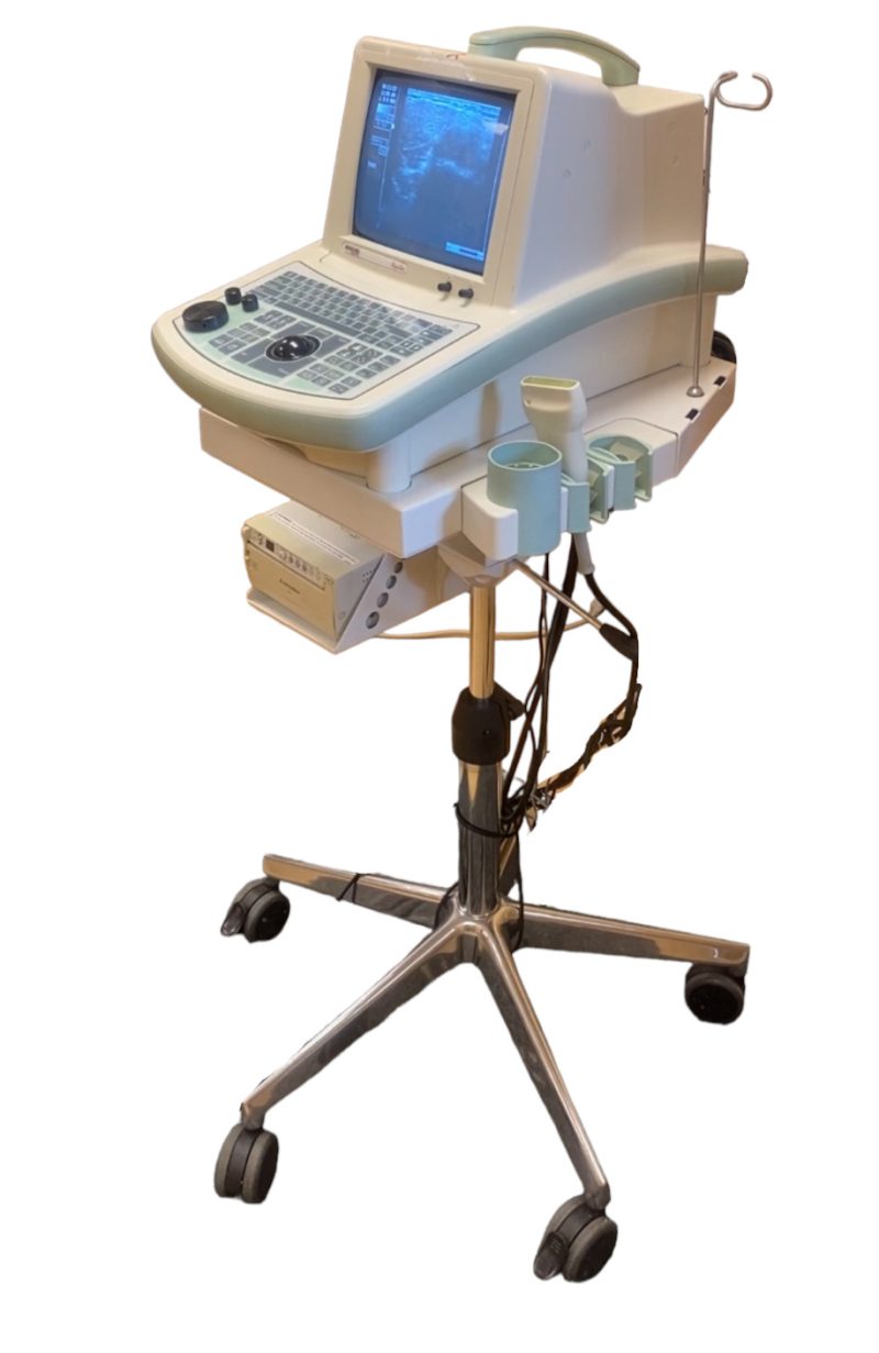 BIOSOUND ESAOTE AQUILA ULTRASOUND MACHINE WITH 1 PROBE L40