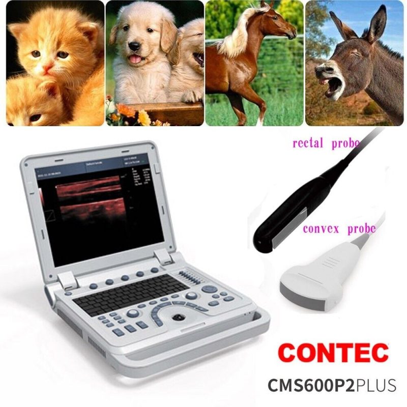 VET portable ultrasound machine pseudo color doppler,rectal,convex,Veterinary