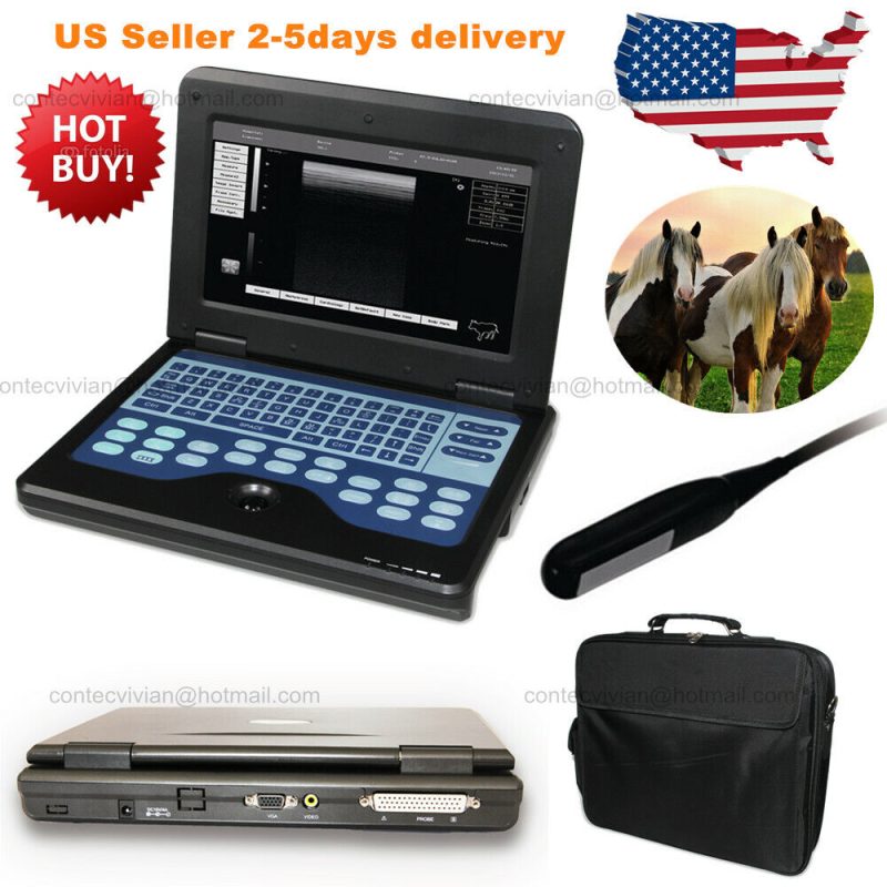 VET Rectal Obstetric System Portable Veterinary Ultrasound Scanner Machine+Probe