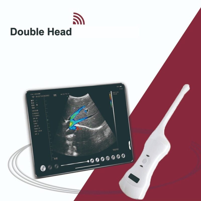 Wifi Wireless Ultrasound Probe for Vaginal and Convex Double heads