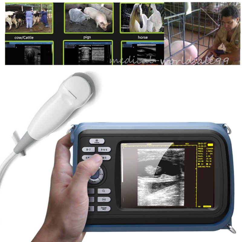 Portable Veterinary Ultrasound Ultrasonic Scanner Unit +Micro-convex Probe 5.5"