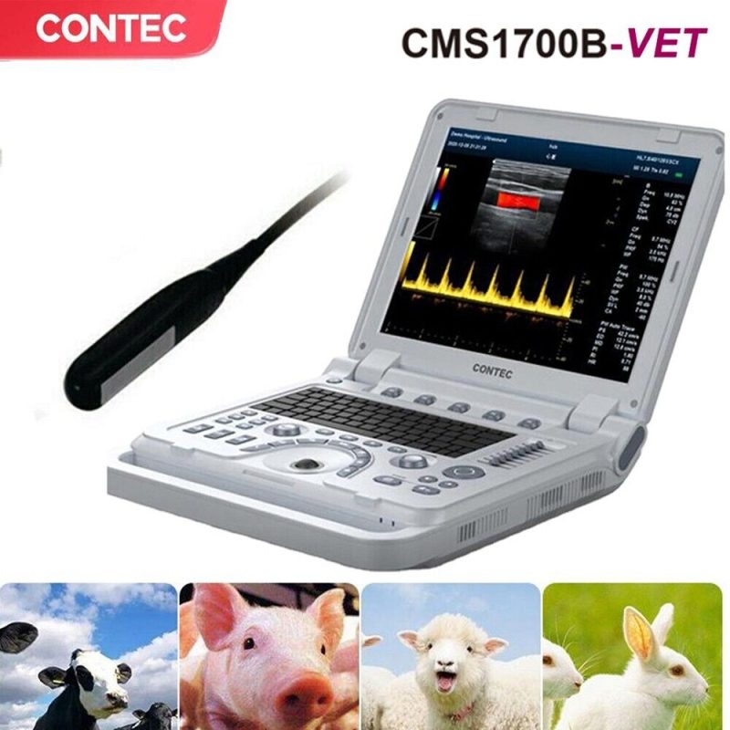 VET Veterinary Color Doppler Ultrasound Diagnostic Machine,rectal linear Probe