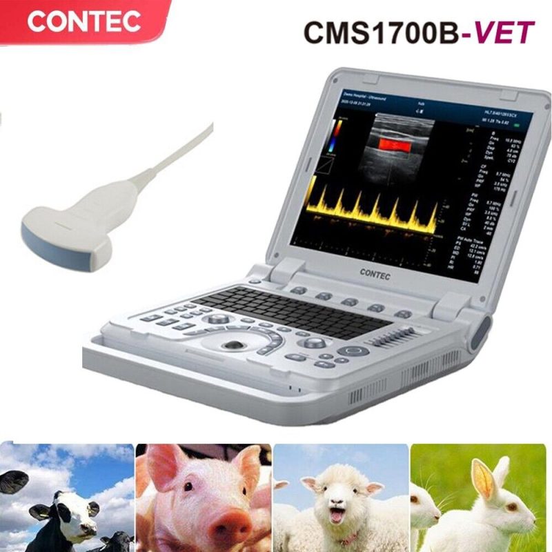 VET Veterinary Color Doppler Ultrasound Scanner Diagnostic Machine,Convex Porbe