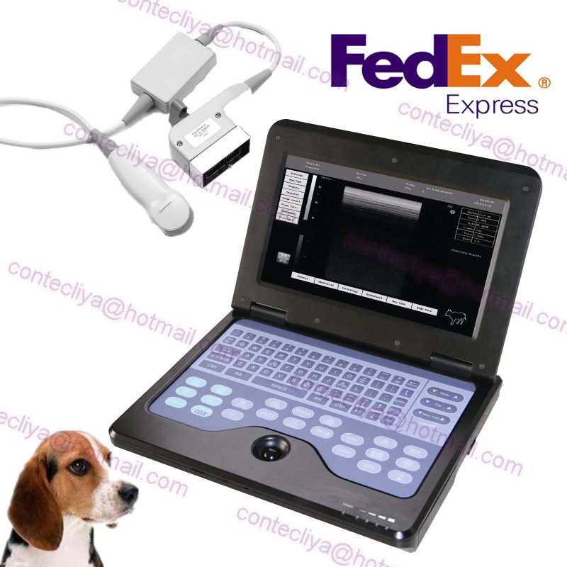 Veterinary Laptop Ultrasound Scanner Machine VET Micro Convex Probe US Seller