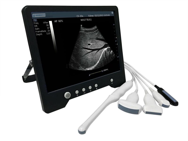 Veterinary Large & Small Animal Touch Screen Ultrasound w/ Two Probes | KeeboMed